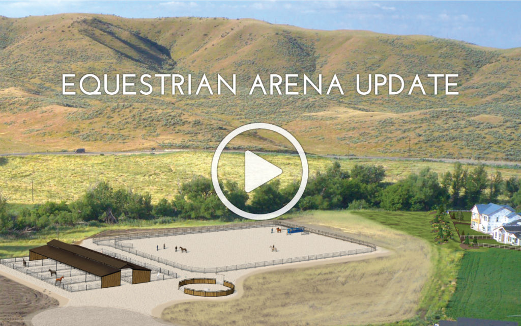 Equestrian-update-thumb