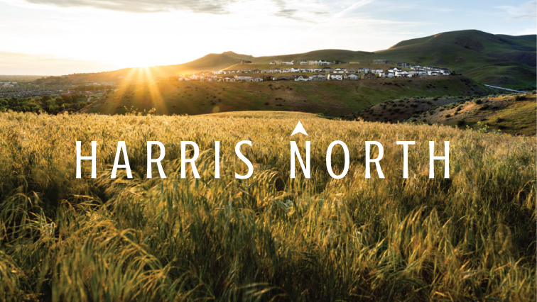 Harris North Housing Community by Boise Hunter Homes