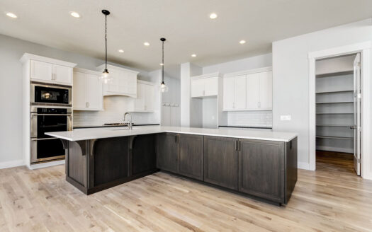 14041 N. Hornbill Way